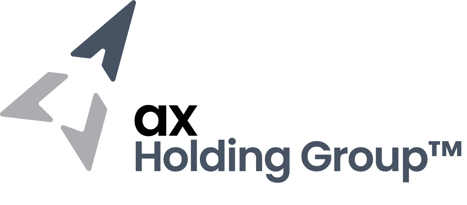 AX Holding Group